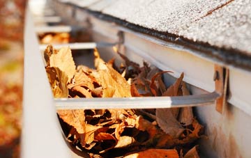 Flint Mountain gutter cleaning companies